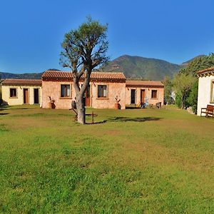 B&B Pubulos